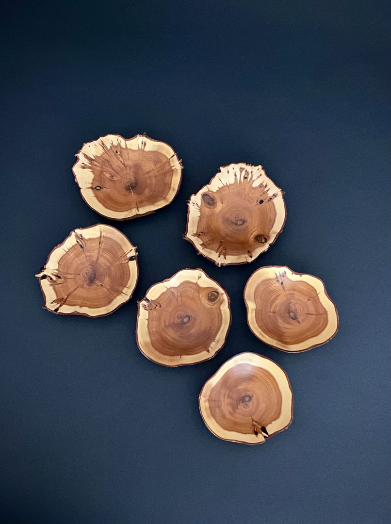 Pacific Northwest Yew  cut across the grain reveals the lovely contrasts of orange heartwood and creamy sapwood. Perfect to hold small precious objects .