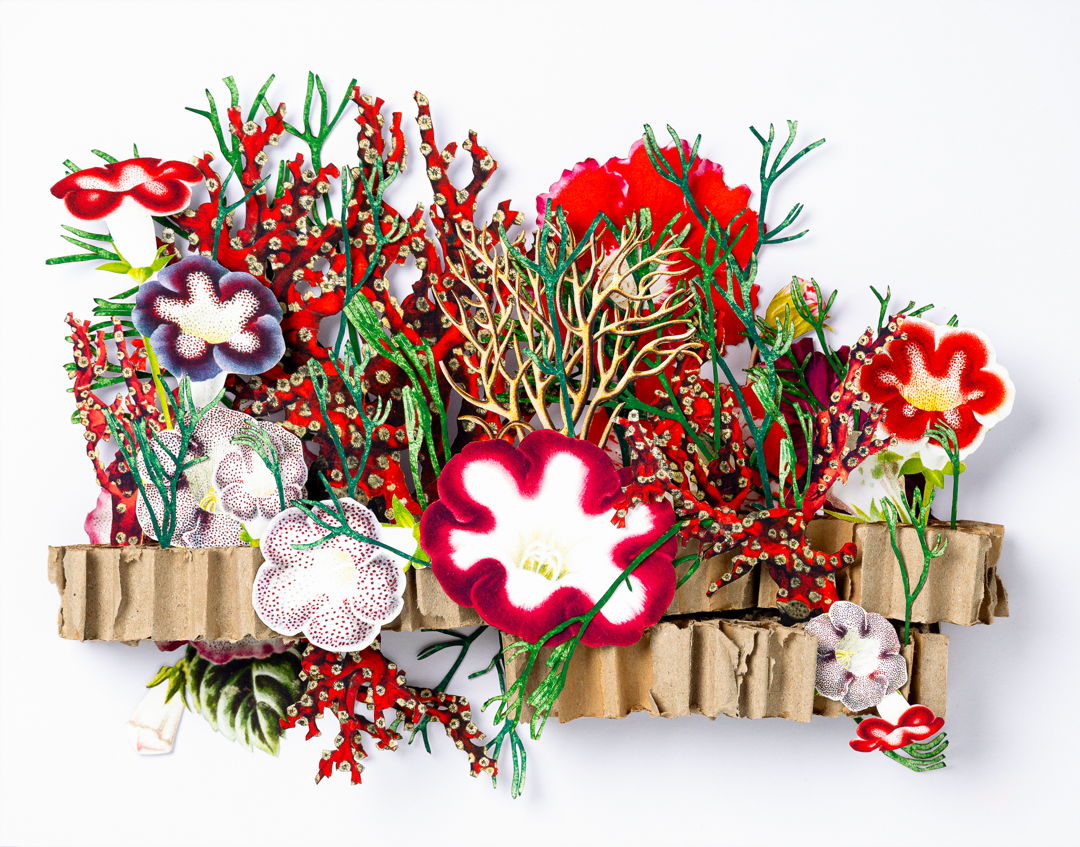 This is a hand cut 3d paper sculpture featuring elements of coral and ocean environments. It uses recycled materials as its structure