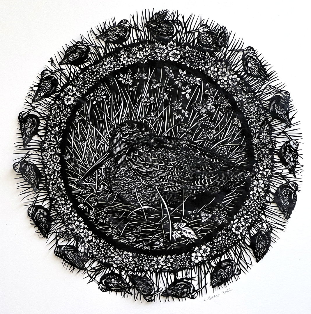 The woodcock hen  as she sits on the ground  camouflages so well. Her beautiful feathers remind me of the dry leaves that make woodcocks masters of camouflage  helping them blend in with the leafy surroundings on the floors of young forests or in fields.