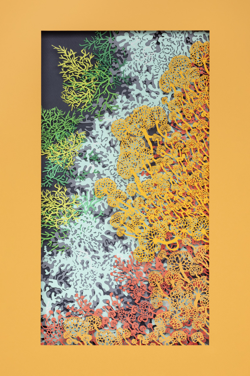 layers of papercut reefs