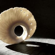 This high fired porcelain piece was created by pinching  carving  and handbuilding. It has an unglazed surface.