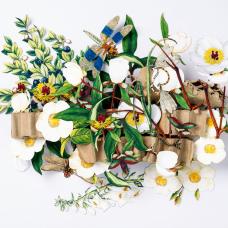 This is a hand cut 3d paper sculpture featuring floral images and dragonflies