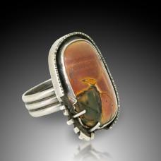 silver and brown ring