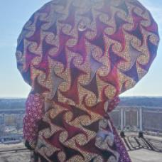 parasol and matching dress