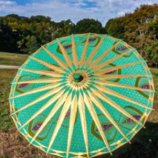 parasol