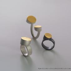 The circular tube on the top of the simple band was intentionally tilted and cut to generate diverse perspectives of the ring